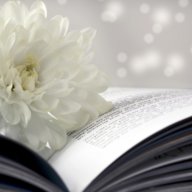 booklover1090